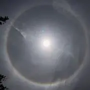 まるまる。