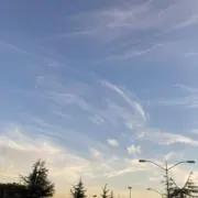 あずきどんの画像