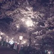 mariの画像