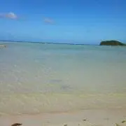 miporin