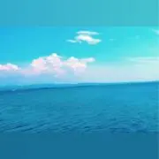 vaniの画像