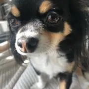 YYYの画像