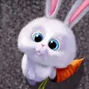 ちょこみんとの画像