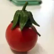 MGGG＊プロフ必読の画像