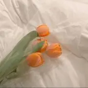 raraの画像