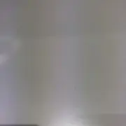 おもちの画像