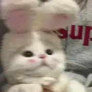 あい