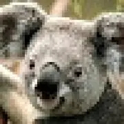 JAMの画像
