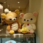 ooiooの画像