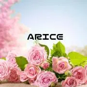 ARICEの画像