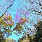 ちょっぴの画像