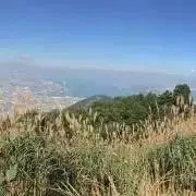 ひろりの画像