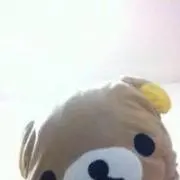 すいかの画像