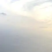❣️シナモン❣️の画像