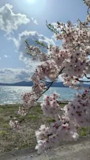 まことの画像