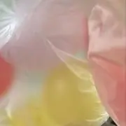 まつの画像