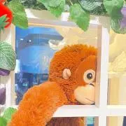 こちゃぴまるの画像