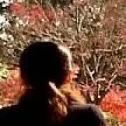 銀子