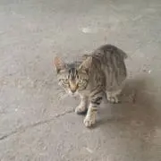 助