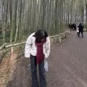 ヒカリの画像