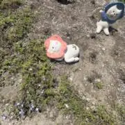 ぴーなっつばたーの画像