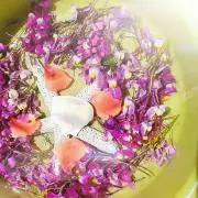 Butterfly*Shopの画像