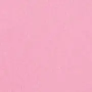 ビビの画像