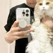 ささみの画像