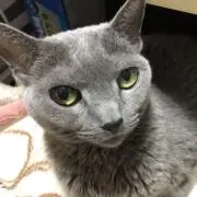 uyaの画像