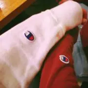 りぃの画像