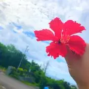 Riho