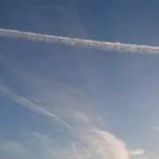 ヒコザルの画像