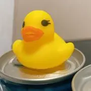 pyonの画像