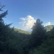 わたあめの画像