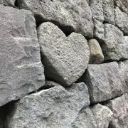 eriの画像