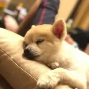 まる