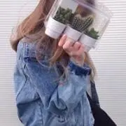 もも森