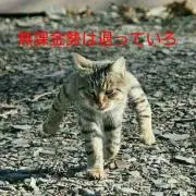 doraごんたろう
