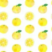 Yuzuの画像