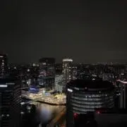 やぎの画像