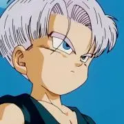 トランスクの画像