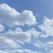 ⚠️購入者様はプロフ必読の画像