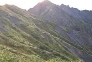 search77の画像