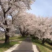 konkonの画像