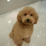 まるまるの画像