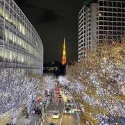 しゅん坊