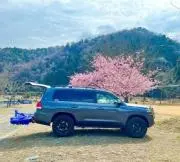 TOYOTAの画像