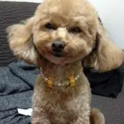maruko♡の画像