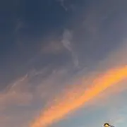 夏※プロフ必読※の画像
