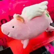 pyonの画像